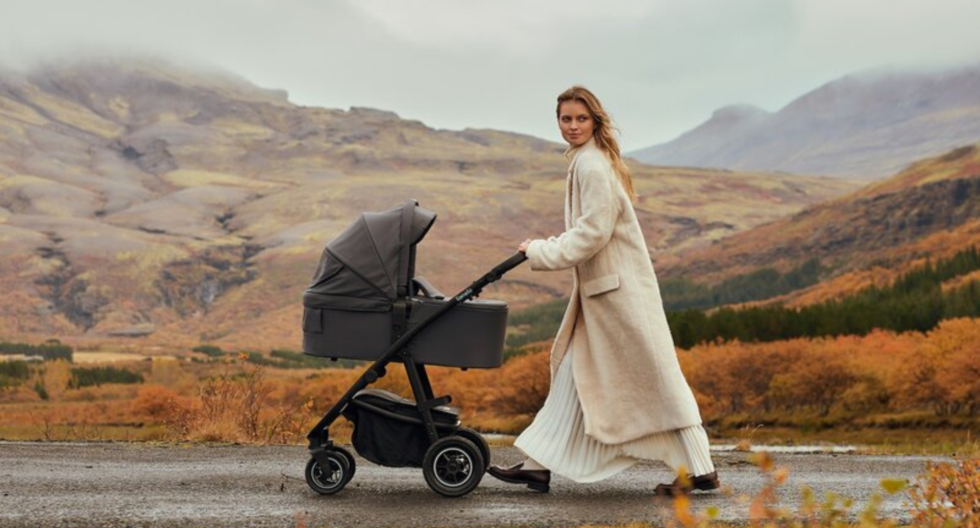 Carucior reversibil 2 in 1 cu multiple accesorii Amber Plus